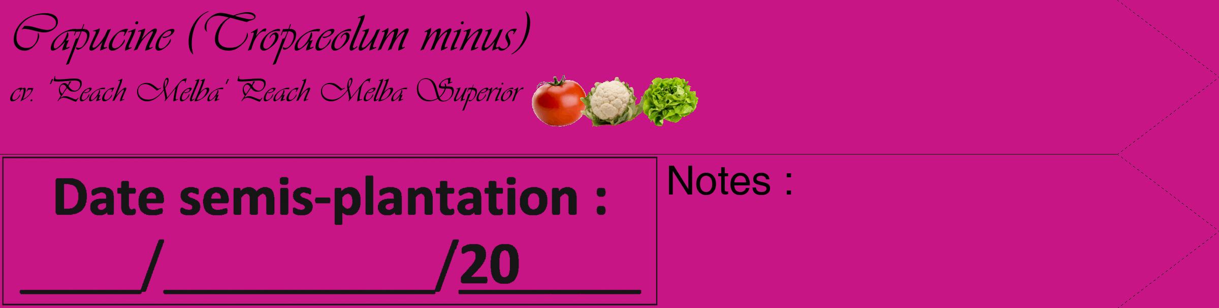Étiquette de : Tropaeolum minus cv. 'Peach Melba' - format c - style noire45simple_basique_basiqueviv avec comestibilité simplifiée