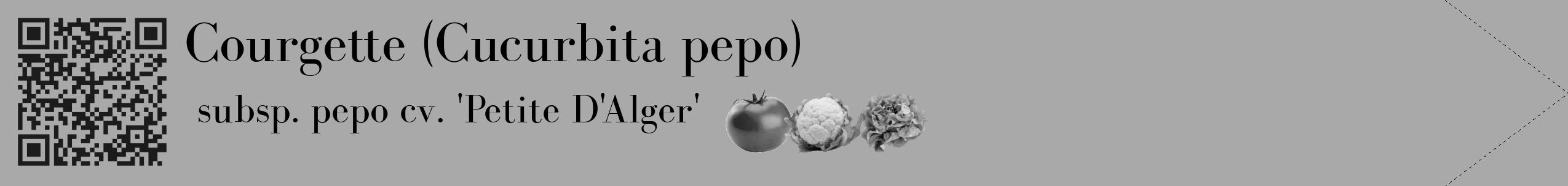 Étiquette de : Cucurbita pepo subsp. pepo cv. 'Petite D'Alger' - format c - style noire13_simple_simplebod avec qrcode et comestibilité simplifiée