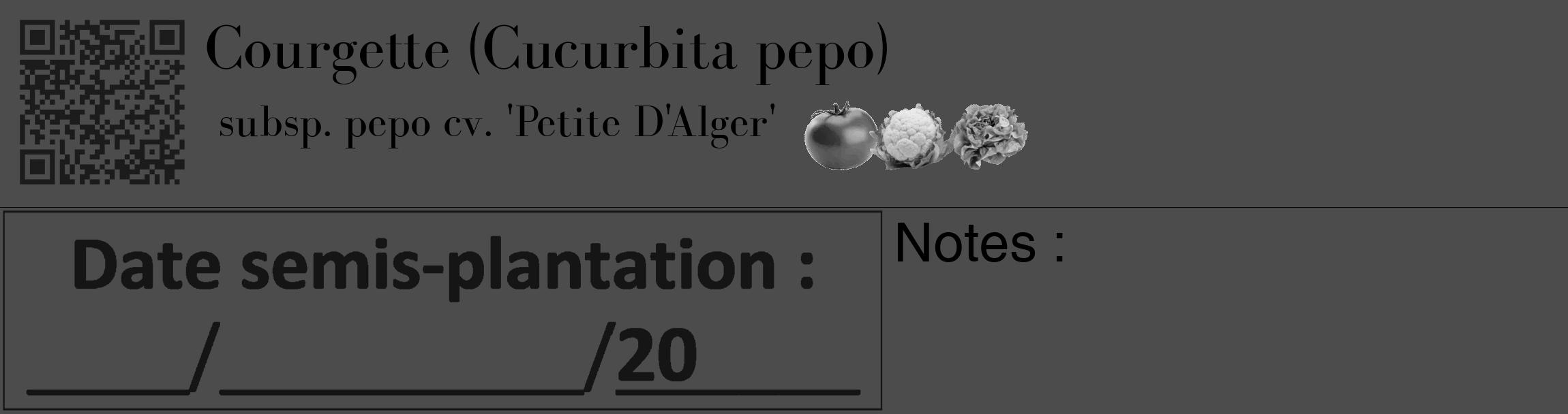 Étiquette de : Cucurbita pepo subsp. pepo cv. 'Petite D'Alger' - format c - style noire27_basique_basiquebod avec qrcode et comestibilité simplifiée