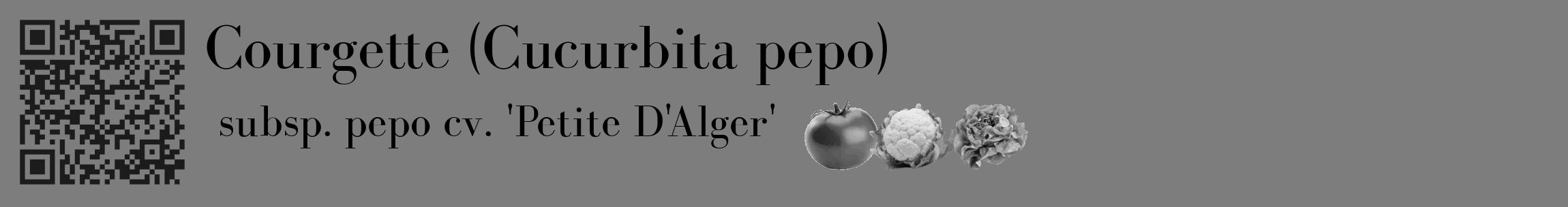 Étiquette de : Cucurbita pepo subsp. pepo cv. 'Petite D'Alger' - format c - style noire35_basique_basiquebod avec qrcode et comestibilité simplifiée