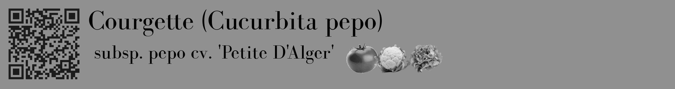 Étiquette de : Cucurbita pepo subsp. pepo cv. 'Petite D'Alger' - format c - style noire4_basique_basiquebod avec qrcode et comestibilité simplifiée