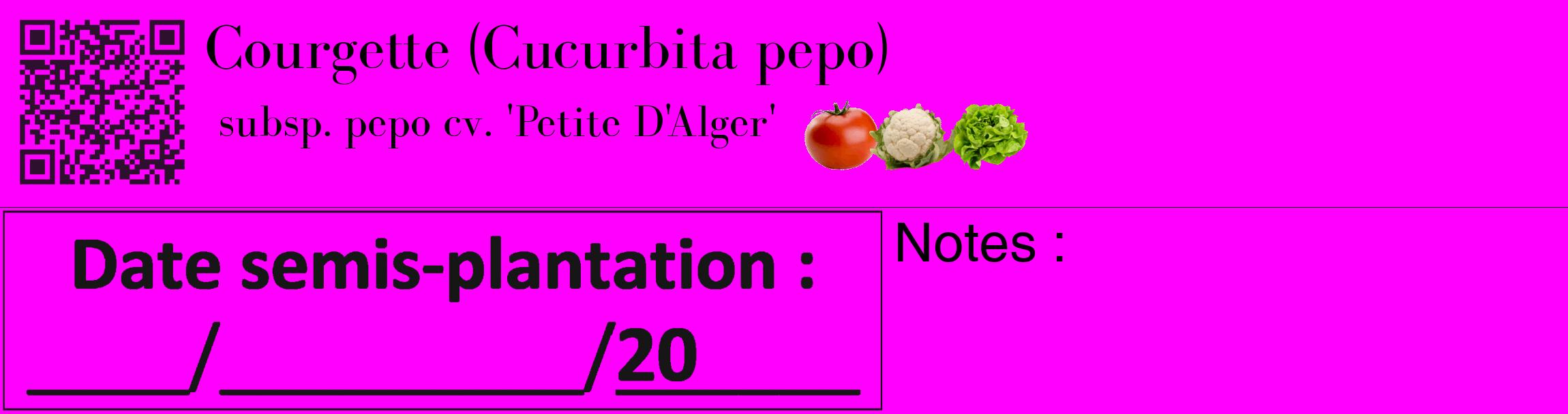 Étiquette de : Cucurbita pepo subsp. pepo cv. 'Petite D'Alger' - format c - style noire51_basique_basiquebod avec qrcode et comestibilité simplifiée