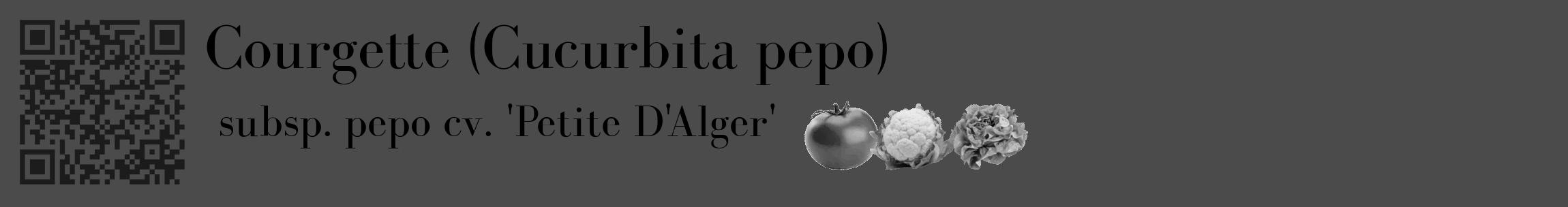 Étiquette de : Cucurbita pepo subsp. pepo cv. 'Petite D'Alger' - format c - style noire9_basique_basiquebod avec qrcode et comestibilité simplifiée