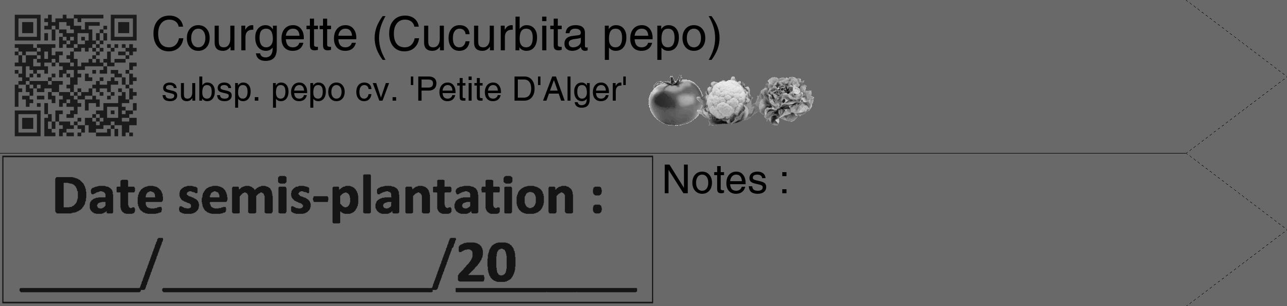 Étiquette de : Cucurbita pepo subsp. pepo cv. 'Petite D'Alger' - format c - style noire11_simple_simplehel avec qrcode et comestibilité simplifiée