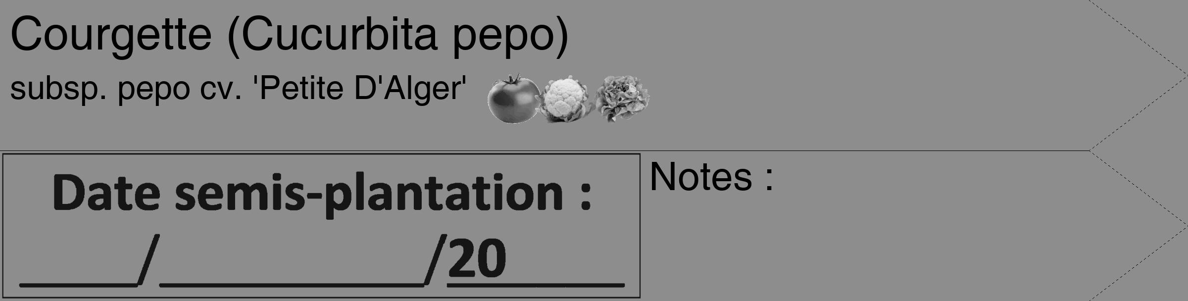 Étiquette de : Cucurbita pepo subsp. pepo cv. 'Petite D'Alger' - format c - style noire2_simple_simplehel avec comestibilité simplifiée
