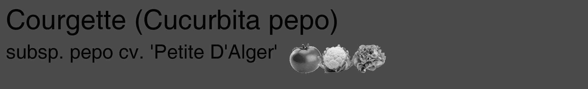 Étiquette de : Cucurbita pepo subsp. pepo cv. 'Petite D'Alger' - format c - style noire9_basique_basiquehel avec comestibilité simplifiée