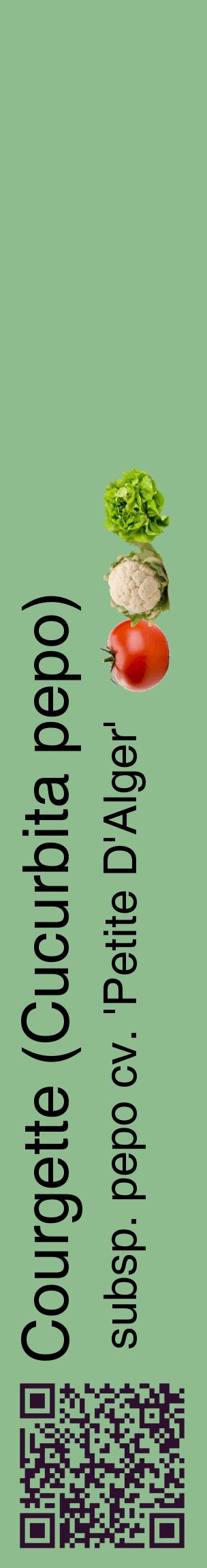 Étiquette de : Cucurbita pepo subsp. pepo cv. 'Petite D'Alger' - format c - style noire13_basiquehel avec qrcode et comestibilité simplifiée