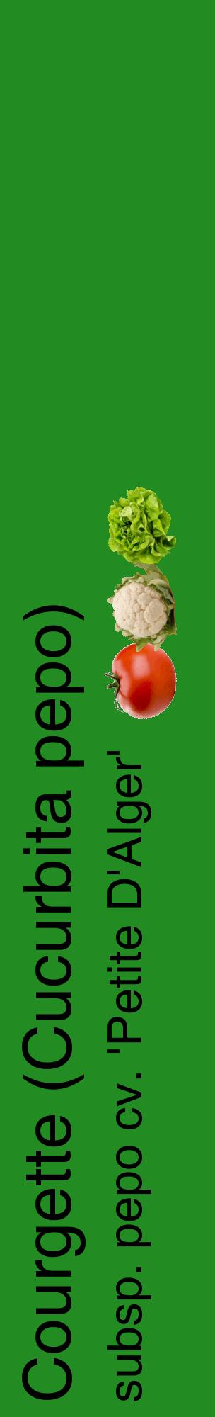 Étiquette de : Cucurbita pepo subsp. pepo cv. 'Petite D'Alger' - format c - style noire10_basiquehel avec comestibilité simplifiée