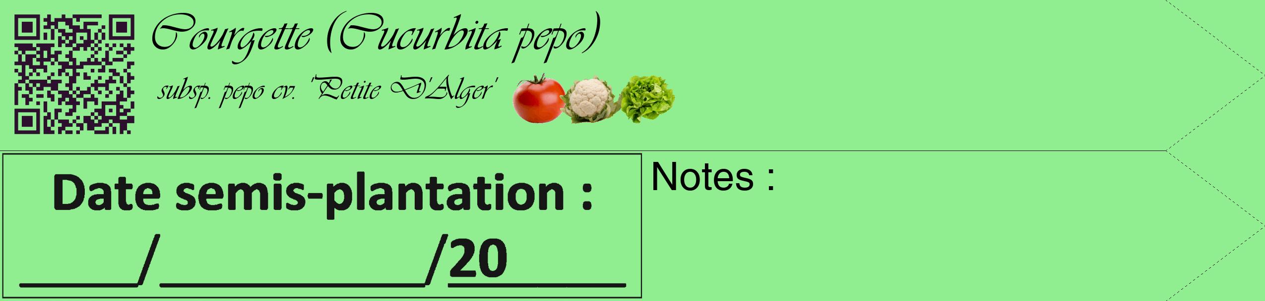 Étiquette de : Cucurbita pepo subsp. pepo cv. 'Petite D'Alger' - format c - style noire15_simple_simpleviv avec qrcode et comestibilité simplifiée