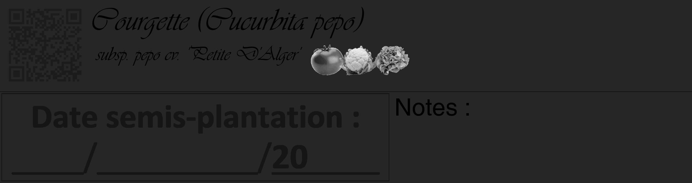 Étiquette de : Cucurbita pepo subsp. pepo cv. 'Petite D'Alger' - format c - style noire29_basique_basiqueviv avec qrcode et comestibilité simplifiée