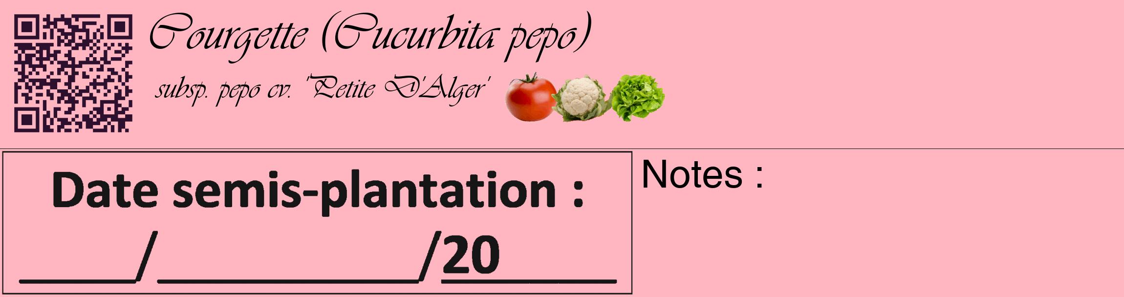 Étiquette de : Cucurbita pepo subsp. pepo cv. 'Petite D'Alger' - format c - style noire41_basique_basiqueviv avec qrcode et comestibilité simplifiée