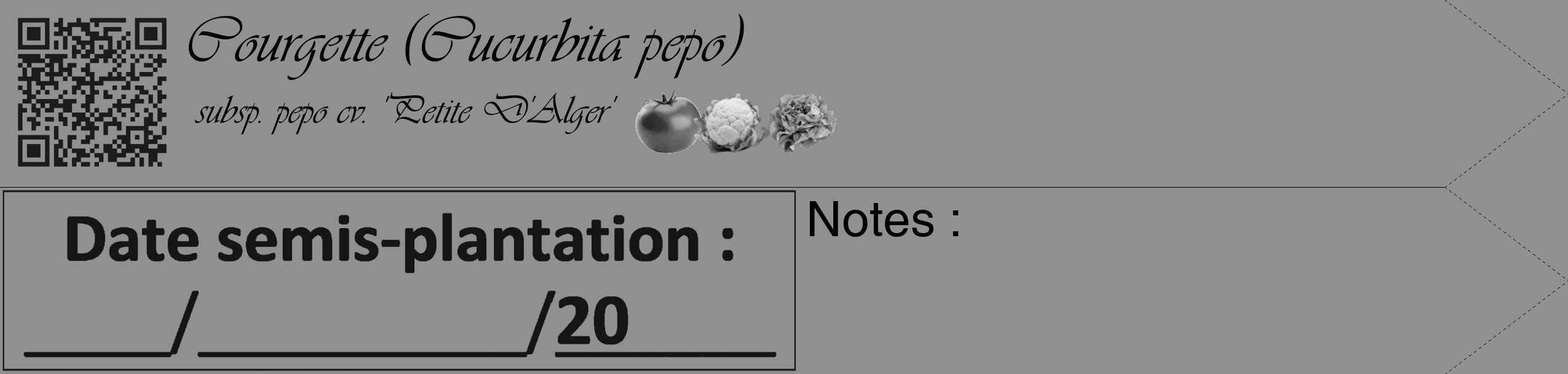 Étiquette de : Cucurbita pepo subsp. pepo cv. 'Petite D'Alger' - format c - style noire4_simple_simpleviv avec qrcode et comestibilité simplifiée