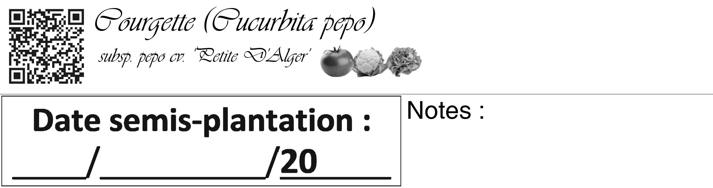 Étiquette de : Cucurbita pepo subsp. pepo cv. 'Petite D'Alger' - format c - style noire60_basique_basiqueviv avec qrcode et comestibilité simplifiée