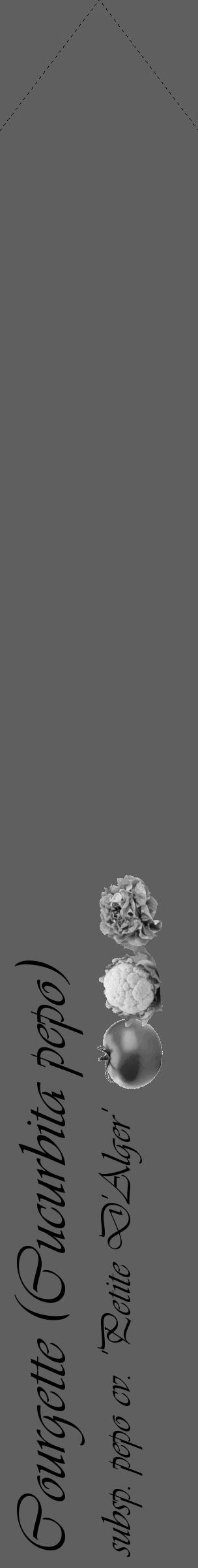 Étiquette de : Cucurbita pepo subsp. pepo cv. 'Petite D'Alger' - format c - style noire10_simple_simpleviv avec comestibilité simplifiée - position verticale