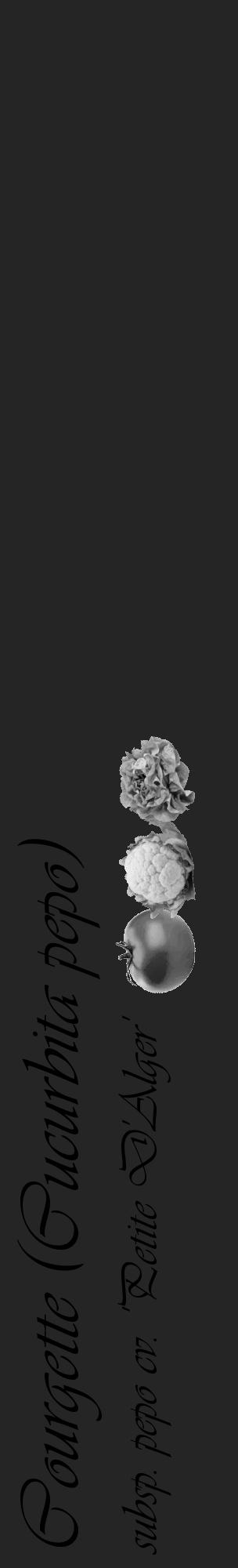 Étiquette de : Cucurbita pepo subsp. pepo cv. 'Petite D'Alger' - format c - style noire47_basique_basiqueviv avec comestibilité simplifiée - position verticale
