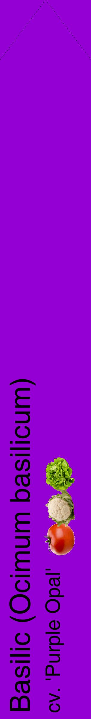 Étiquette de : Ocimum basilicum cv. 'Purple Opal' - format c - style noire48_simplehel avec comestibilité simplifiée