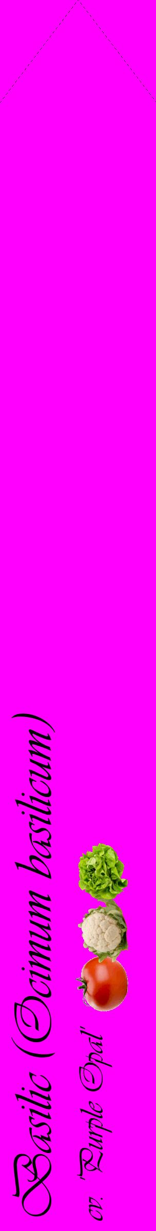 Étiquette de : Ocimum basilicum cv. 'Purple Opal' - format c - style noire51_simpleviv avec comestibilité simplifiée