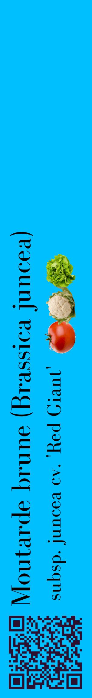 Étiquette de : Brassica juncea subsp. juncea cv. 'Red Giant' - format c - style noire2_basiquebod avec qrcode et comestibilité simplifiée