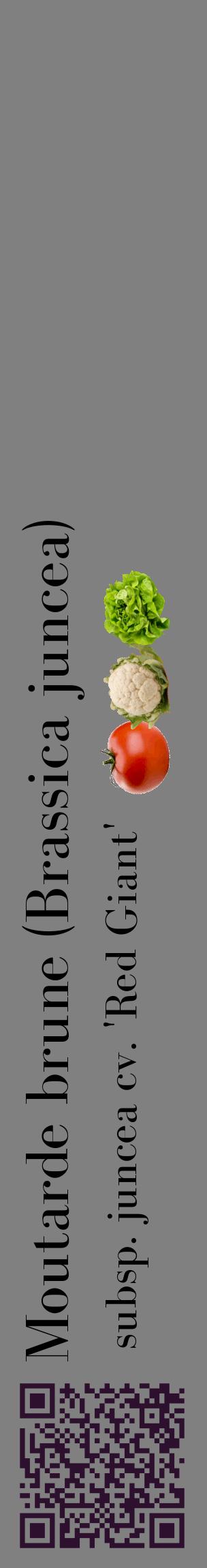 Étiquette de : Brassica juncea subsp. juncea cv. 'Red Giant' - format c - style noire57_basiquebod avec qrcode et comestibilité simplifiée