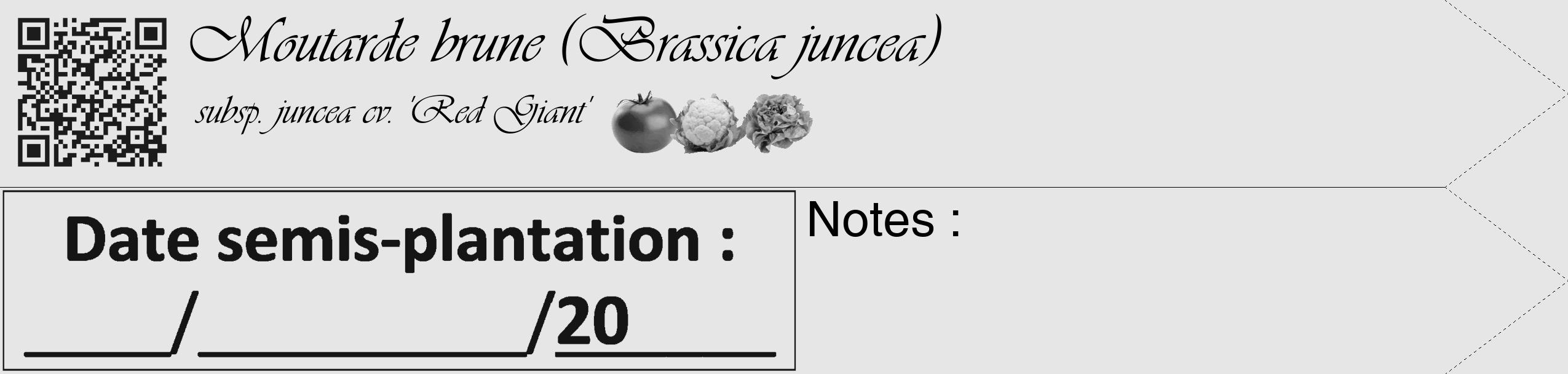 Étiquette de : Brassica juncea subsp. juncea cv. 'Red Giant' - format c - style noire18simple_basique_basiqueviv avec qrcode et comestibilité simplifiée