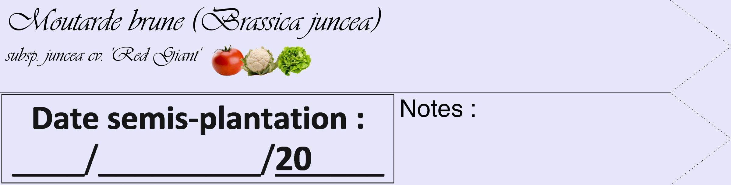 Étiquette de : Brassica juncea subsp. juncea cv. 'Red Giant' - format c - style noire55_simple_simpleviv avec comestibilité simplifiée