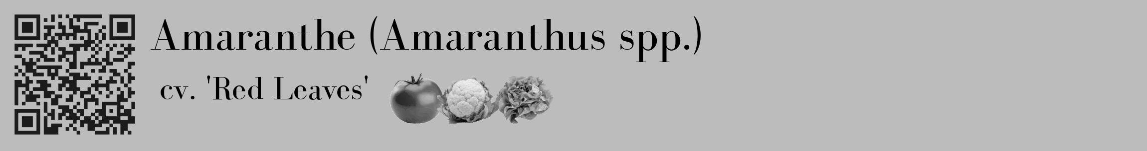 Étiquette de : Amaranthus spp. cv. 'Red Leaves' - format c - style noire1_basique_basiquebod avec qrcode et comestibilité simplifiée