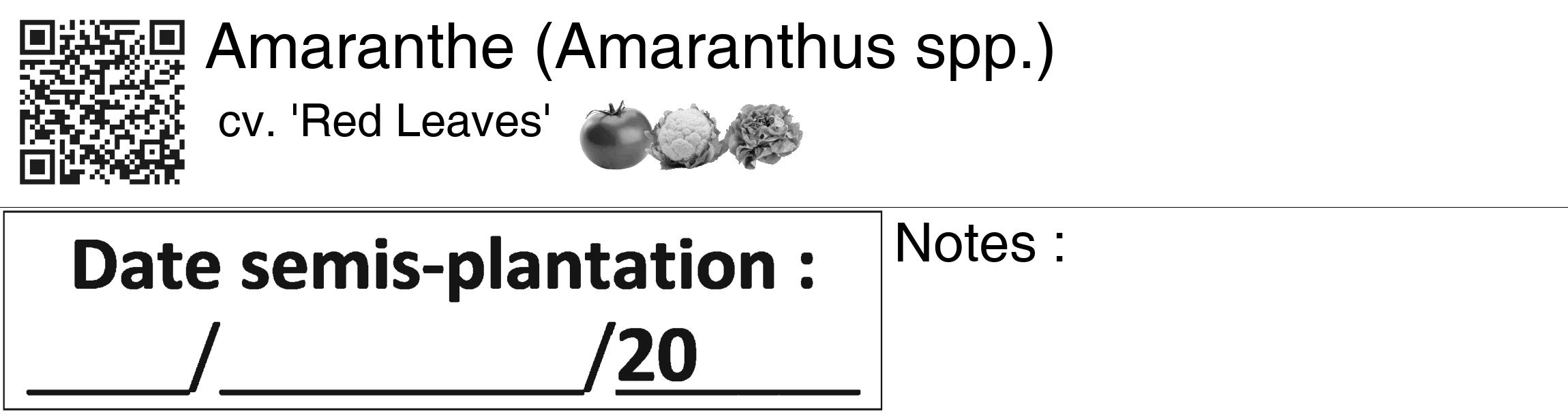 Étiquette de : Amaranthus spp. cv. 'Red Leaves' - format c - style noire60_basiquegrrvhel avec qrcode et comestibilité simplifiée