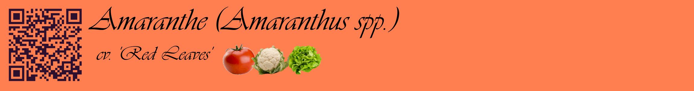 Étiquette de : Amaranthus spp. cv. 'Red Leaves' - format c - style noire24basique_basique_basiqueviv avec qrcode et comestibilité simplifiée