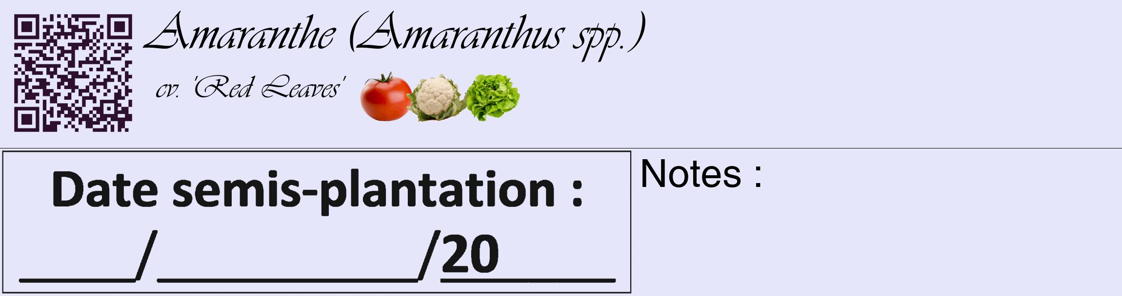 Étiquette de : Amaranthus spp. cv. 'Red Leaves' - format c - style noire55basique_basique_basiqueviv avec qrcode et comestibilité simplifiée