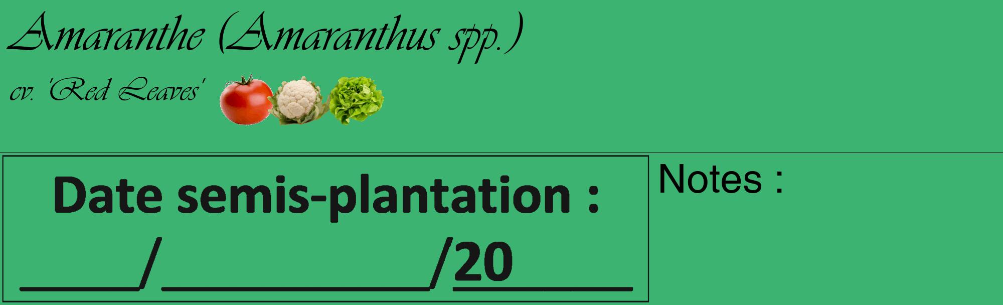 Étiquette de : Amaranthus spp. cv. 'Red Leaves' - format c - style noire12_basique_basiqueviv avec comestibilité simplifiée