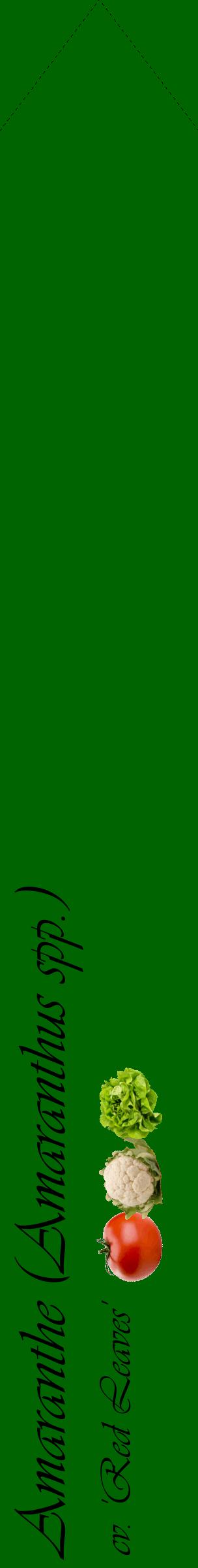 Étiquette de : Amaranthus spp. cv. 'Red Leaves' - format c - style noire8_simpleviv avec comestibilité simplifiée