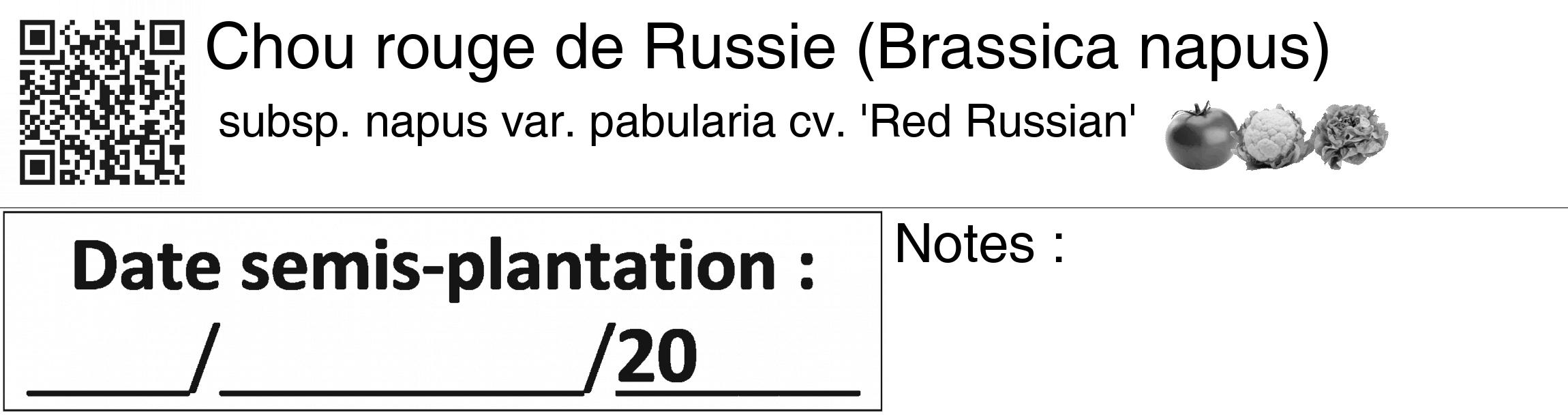 Étiquette de : Brassica napus subsp. napus var. pabularia cv. 'Red Russian' - format c - style noire60_basiquegrrvhel avec qrcode et comestibilité simplifiée