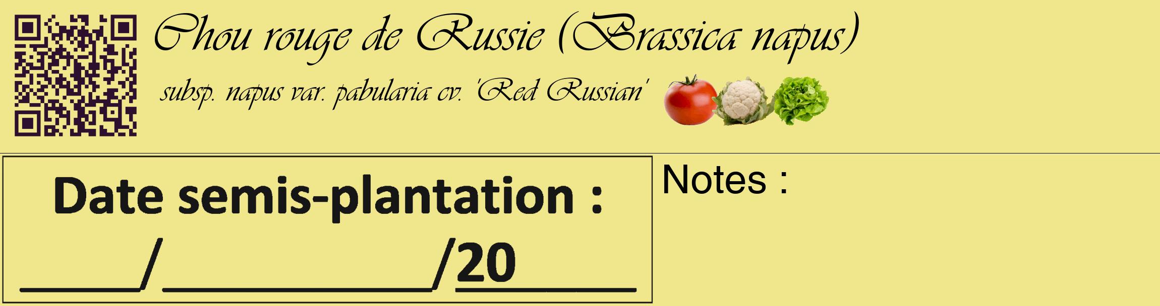 Étiquette de : Brassica napus subsp. napus var. pabularia cv. 'Red Russian' - format c - style noire20_basique_basiqueviv avec qrcode et comestibilité simplifiée
