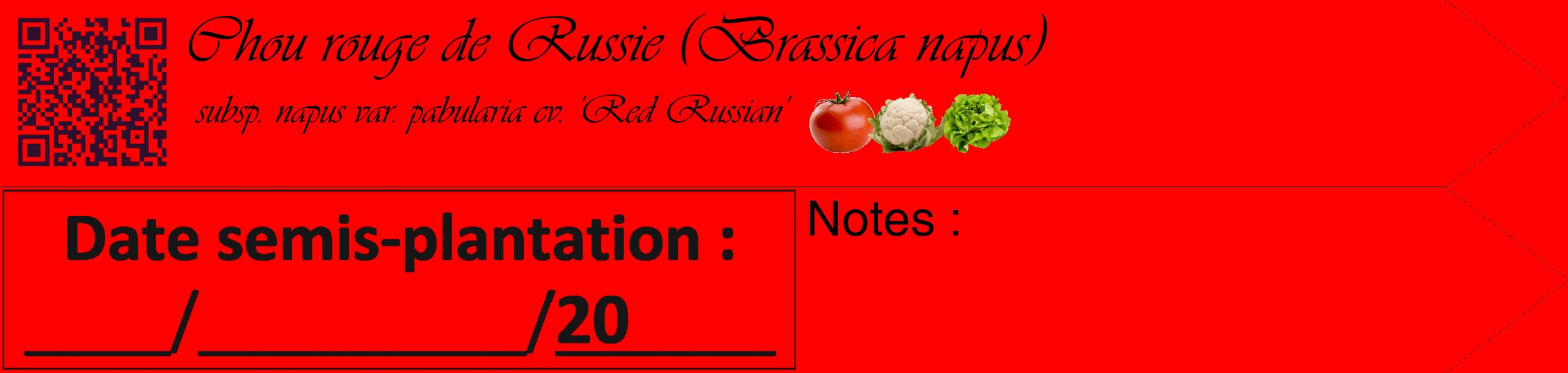 Étiquette de : Brassica napus subsp. napus var. pabularia cv. 'Red Russian' - format c - style noire27_simple_simpleviv avec qrcode et comestibilité simplifiée
