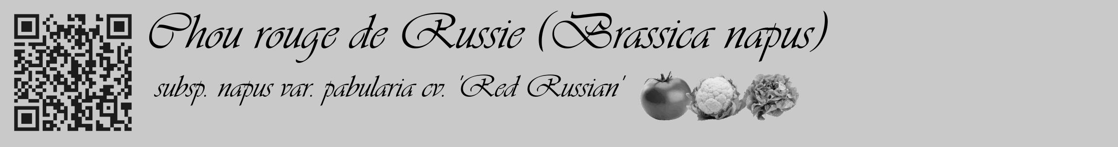 Étiquette de : Brassica napus subsp. napus var. pabularia cv. 'Red Russian' - format c - style noire54_basique_basiqueviv avec qrcode et comestibilité simplifiée