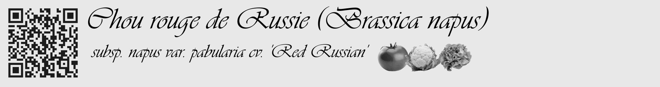 Étiquette de : Brassica napus subsp. napus var. pabularia cv. 'Red Russian' - format c - style noire55_basique_basiqueviv avec qrcode et comestibilité simplifiée
