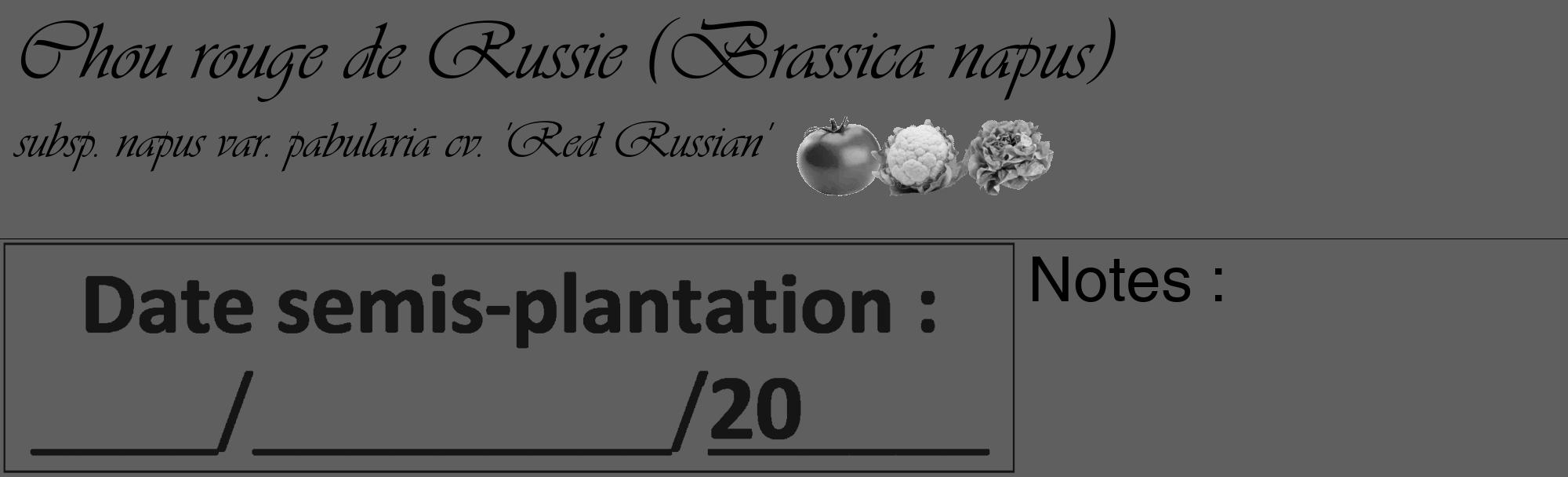 Étiquette de : Brassica napus subsp. napus var. pabularia cv. 'Red Russian' - format c - style noire10_basique_basiqueviv avec comestibilité simplifiée