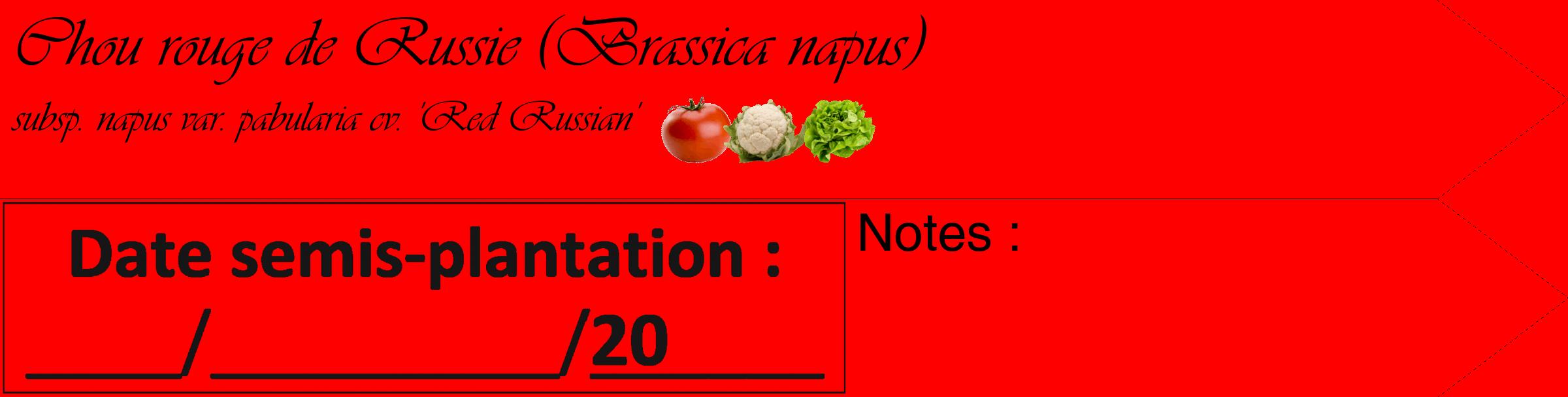 Étiquette de : Brassica napus subsp. napus var. pabularia cv. 'Red Russian' - format c - style noire27simple_basique_basiqueviv avec comestibilité simplifiée