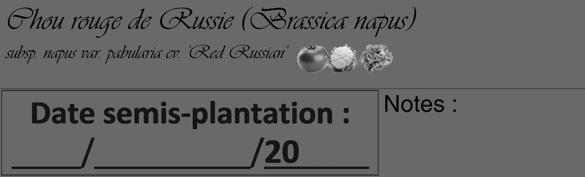 Étiquette de : Brassica napus subsp. napus var. pabularia cv. 'Red Russian' - format c - style noire51_basique_basiqueviv avec comestibilité simplifiée