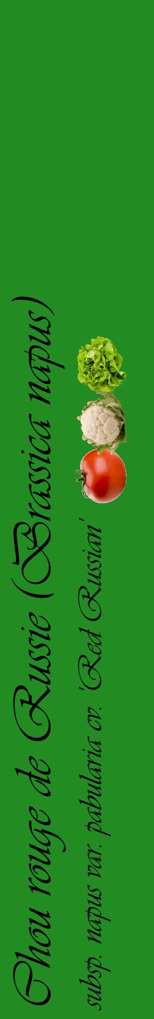 Étiquette de : Brassica napus subsp. napus var. pabularia cv. 'Red Russian' - format c - style noire10_basiqueviv avec comestibilité simplifiée