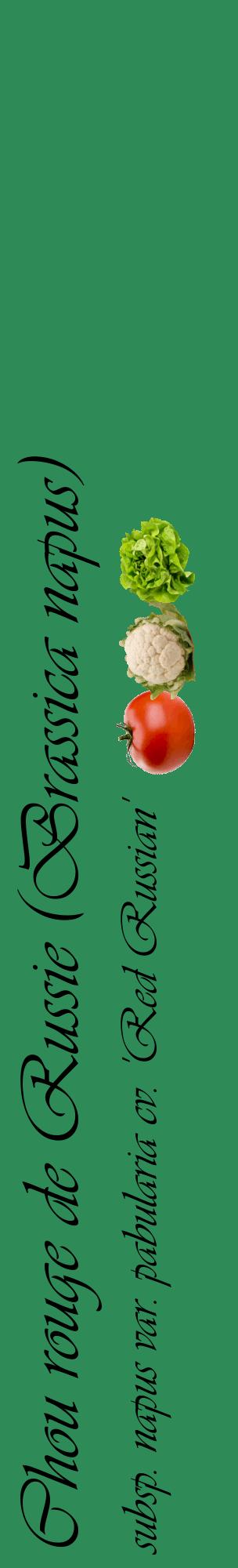 Étiquette de : Brassica napus subsp. napus var. pabularia cv. 'Red Russian' - format c - style noire11_basiqueviv avec comestibilité simplifiée