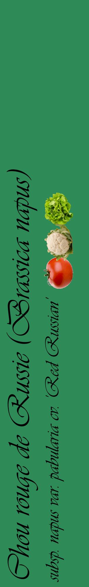 Étiquette de : Brassica napus subsp. napus var. pabularia cv. 'Red Russian' - format c - style noire11_basiqueviv avec comestibilité simplifiée