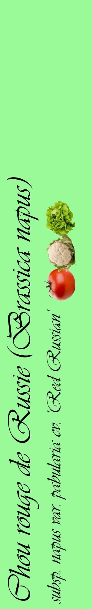 Étiquette de : Brassica napus subsp. napus var. pabularia cv. 'Red Russian' - format c - style noire14_basiqueviv avec comestibilité simplifiée