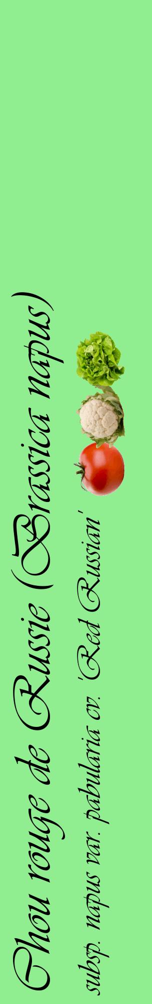 Étiquette de : Brassica napus subsp. napus var. pabularia cv. 'Red Russian' - format c - style noire15_basiqueviv avec comestibilité simplifiée