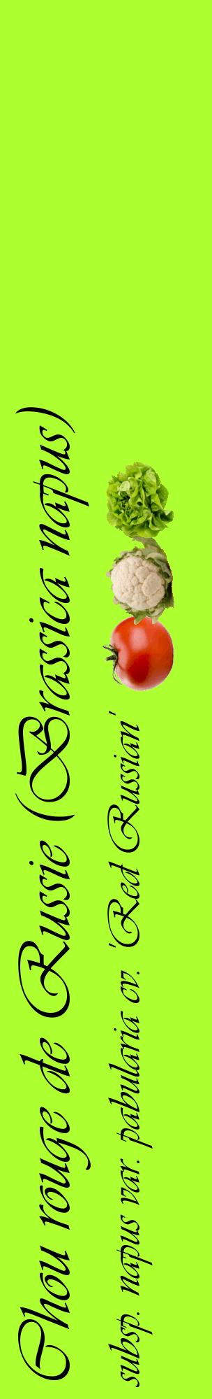 Étiquette de : Brassica napus subsp. napus var. pabularia cv. 'Red Russian' - format c - style noire17_basiqueviv avec comestibilité simplifiée