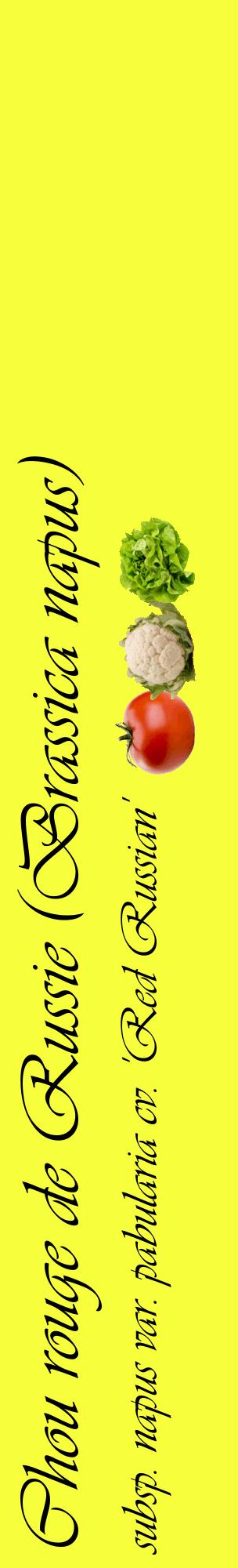 Étiquette de : Brassica napus subsp. napus var. pabularia cv. 'Red Russian' - format c - style noire18_basiqueviv avec comestibilité simplifiée