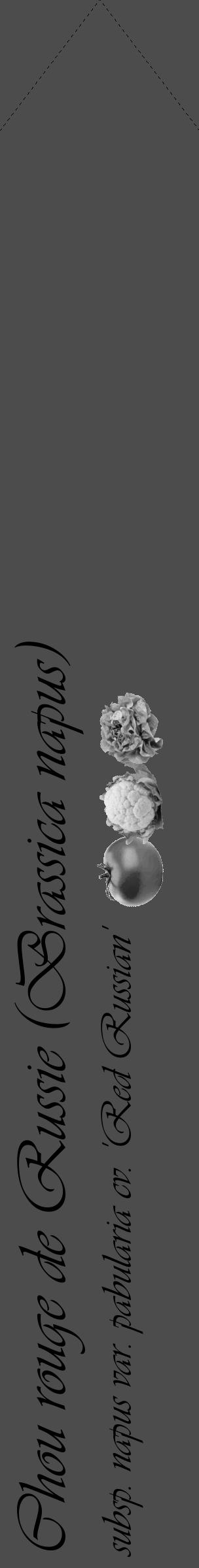 Étiquette de : Brassica napus subsp. napus var. pabularia cv. 'Red Russian' - format c - style noire27simple_basique_basiqueviv avec comestibilité simplifiée - position verticale