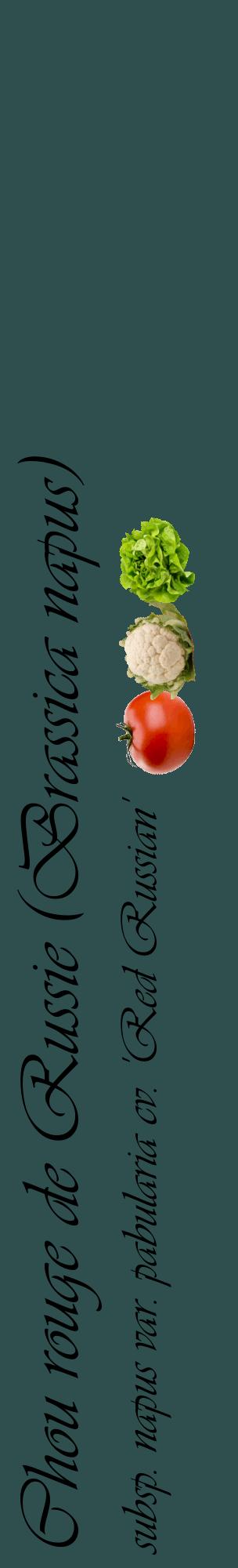 Étiquette de : Brassica napus subsp. napus var. pabularia cv. 'Red Russian' - format c - style noire58_basiqueviv avec comestibilité simplifiée