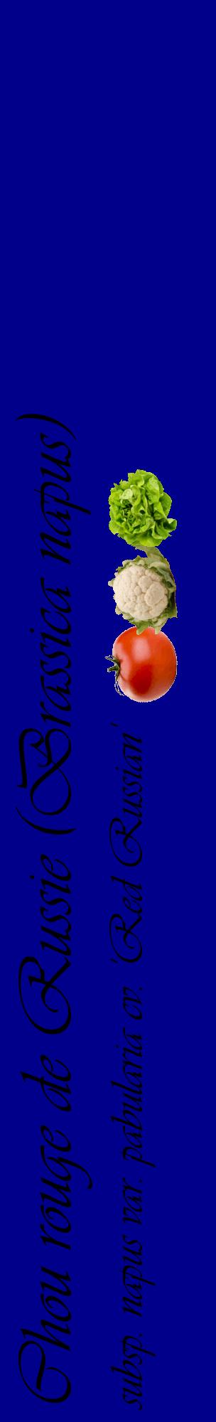 Étiquette de : Brassica napus subsp. napus var. pabularia cv. 'Red Russian' - format c - style noire7_basiqueviv avec comestibilité simplifiée