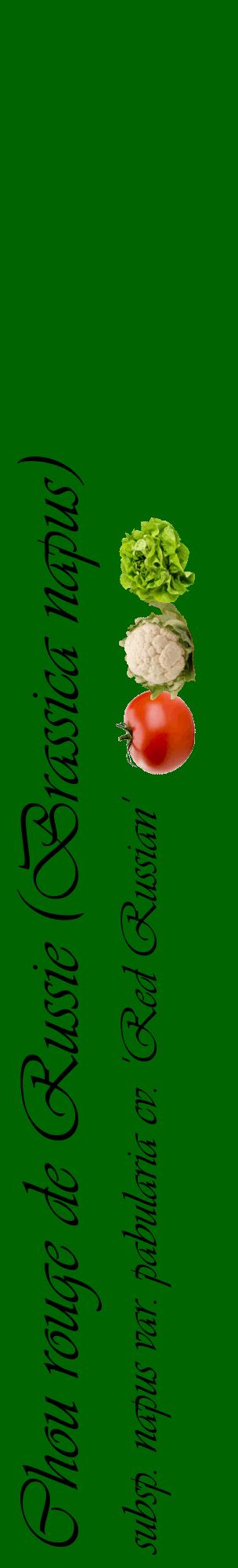 Étiquette de : Brassica napus subsp. napus var. pabularia cv. 'Red Russian' - format c - style noire8_basiqueviv avec comestibilité simplifiée